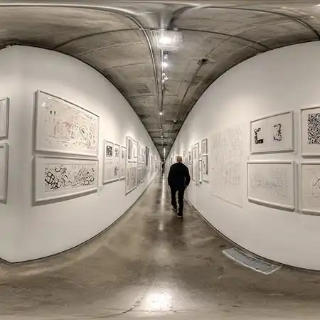 The ARC Program - Resonance